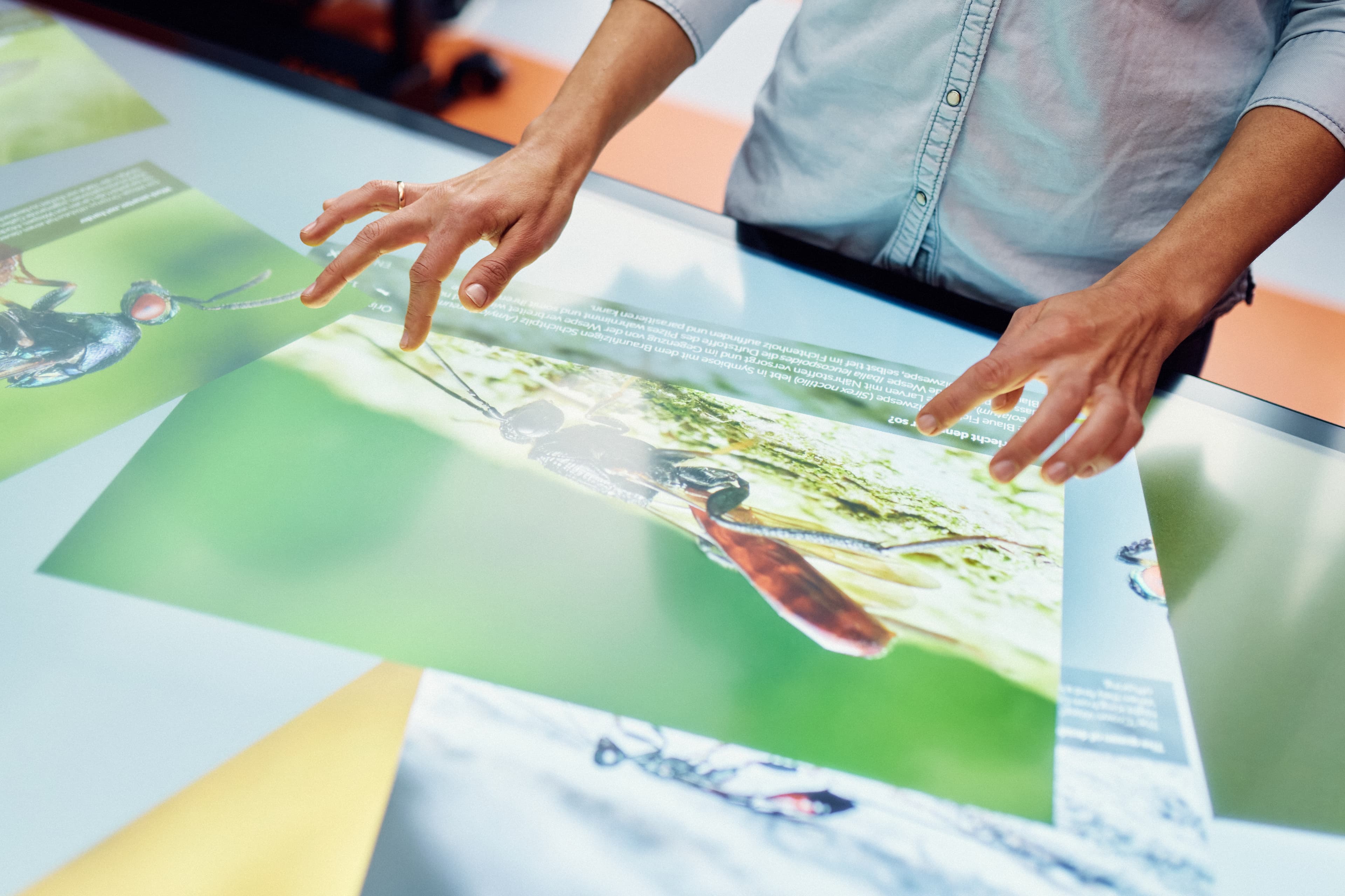 Two hands using the multi-touch table