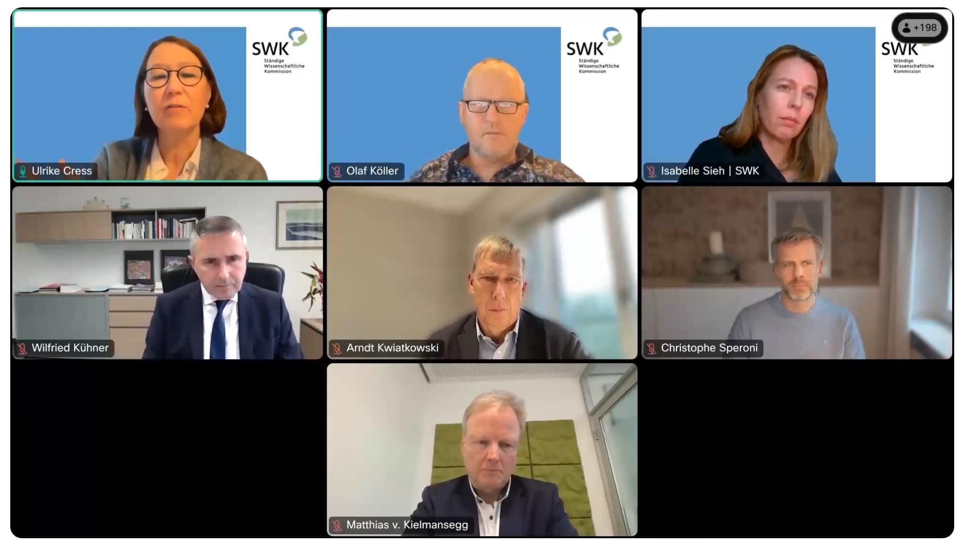 Ein Screenshot des digitalen SWK-Talks